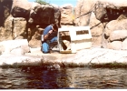 Monterey Aquarium